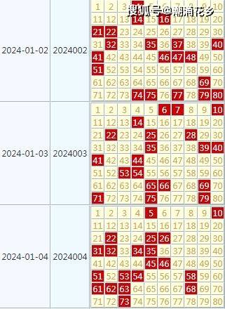 2024年天天开好彩大全,揭秘2024年天天开好彩的奥秘与策略