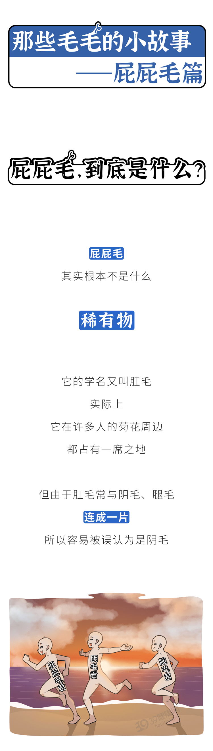 7777788888跑狗论坛资料,探索跑狗论坛，数字背后的故事与启示——以7777788888为关键词