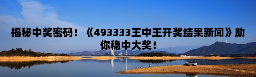 王中王493333WWW,王中王与数字的魅力，探索神秘的493333WWW