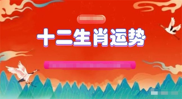 精准一肖一码一子一中,精准一肖一码一子一中，探寻预测背后的秘密