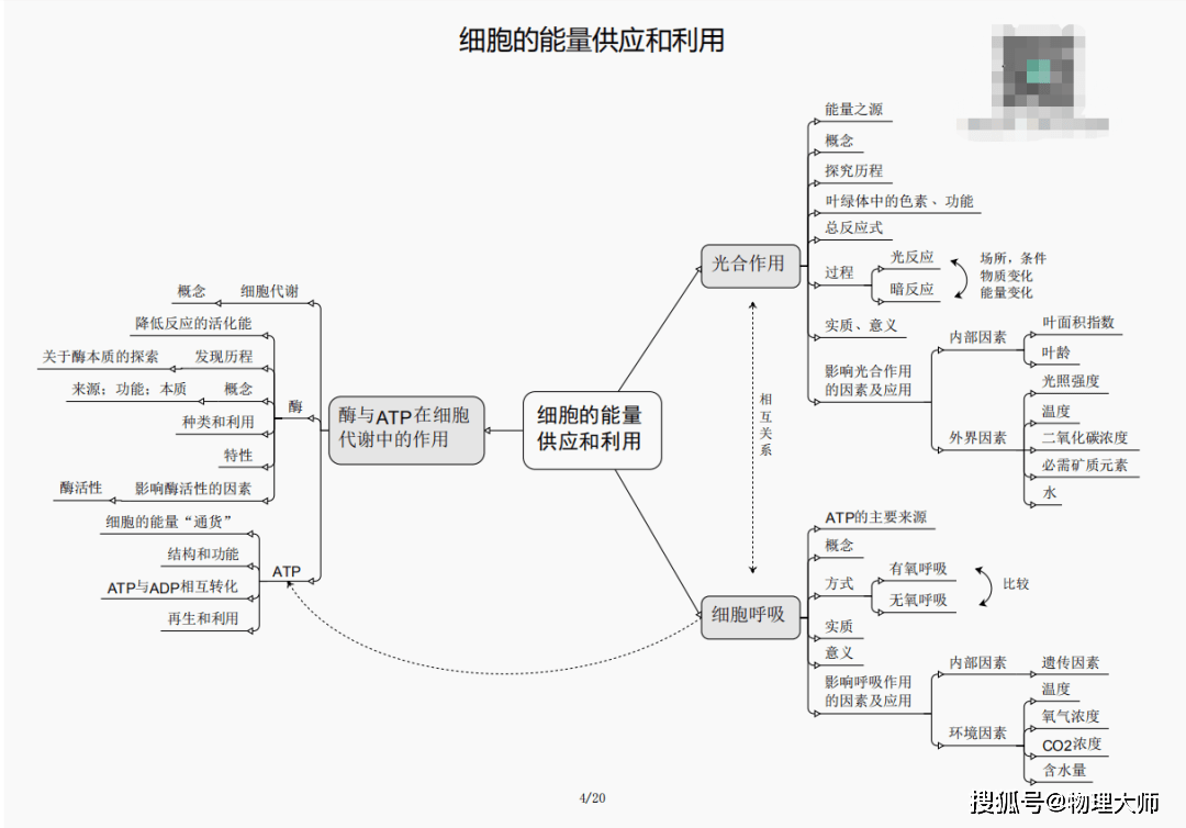 鹤发童颜 第3页