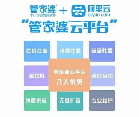 管家婆一票一码100正确,管家婆一票一码，确保业务高效准确的秘密武器