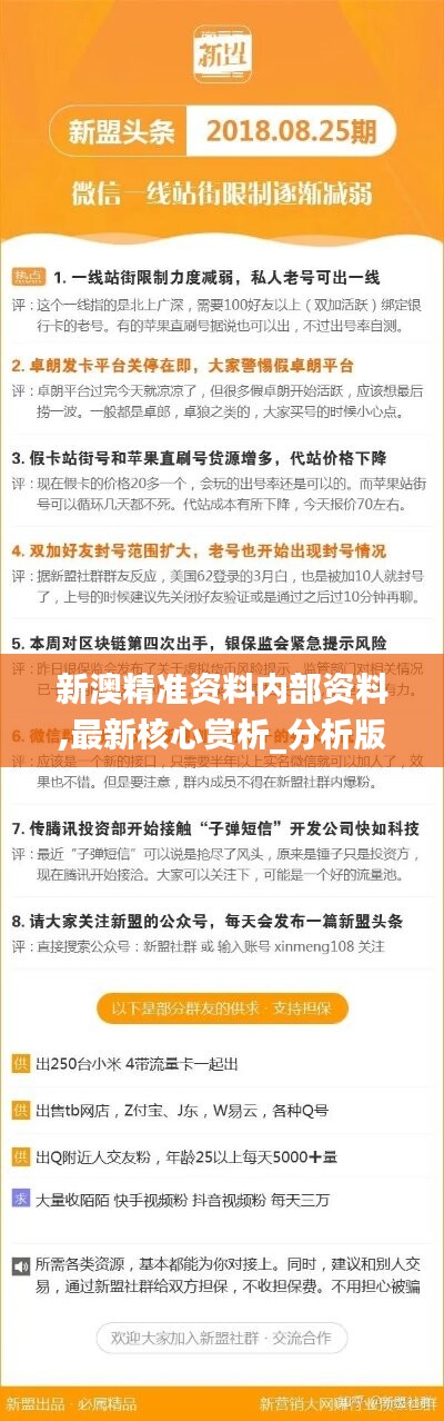 新澳精准资料免费提供305,新澳精准资料免费提供，探索与解读305数据背后的价值