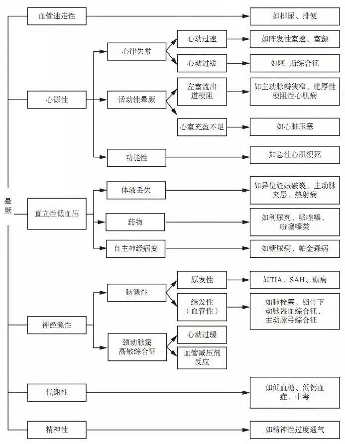 今晚必中一码一肖澳门,今晚必中一码一肖澳门，探索彩票背后的秘密与策略