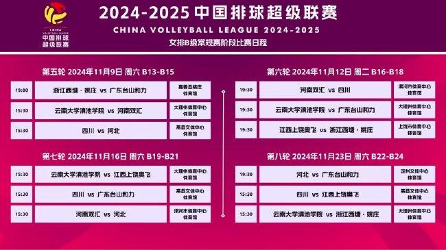 2025香港正版资料免费看,探索香港，正版资料的免费获取与深度了解（2025年视角）